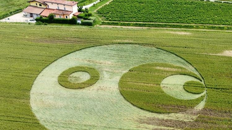 I misteriosi cerchi apparsi in un podere a Capriano: il più grande ha 60 m di diametro FOTO ONLYCREW /FILIPPO VENEZIA