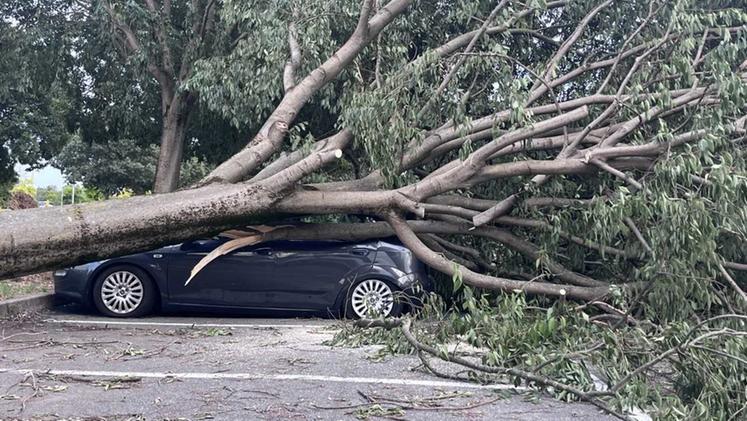 Un'auto schiacciata da un albero divelto dalla tormenta a Montichiari nel piazzale della Fiera
