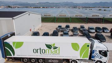 Senza limiti La Linea Verde potenzia il business con Ortomad