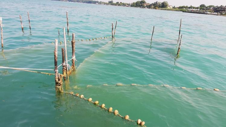Inutilizzate e dannose Le postazioni da anguilla, specie ormai vietata, rilasciano nell’acqua plastiche e piombo