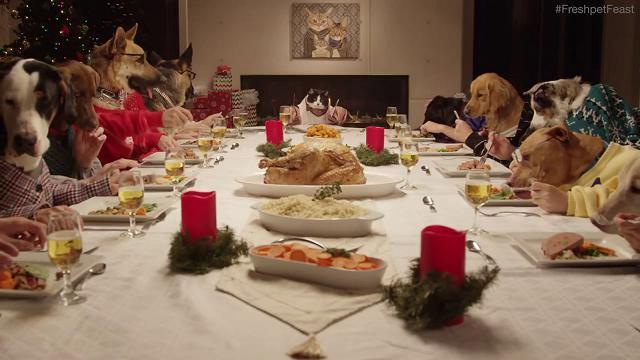 Cena di Natale speciale: a tavola 13 cani e un gatto