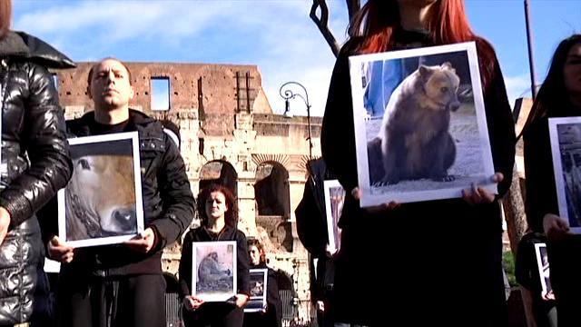 Roma, in piazza con Animal Equality per la giornata dei diritti degli animali