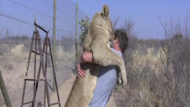 L'abbraccio della leonessa: la storia di Sirga diventa un film