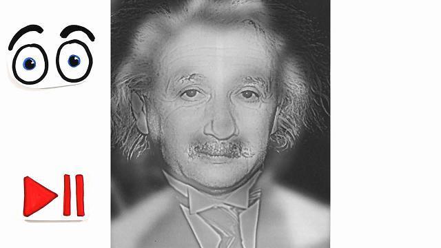 Un test veloce per la vista: cosa vedete, Marilyn o Einstein?