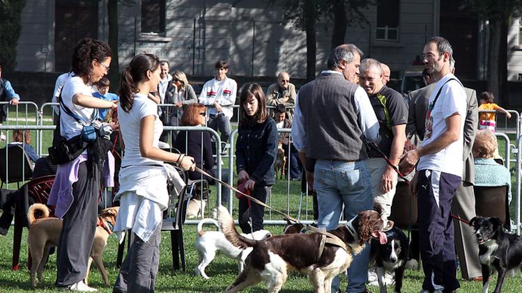 Un gruppo di partecipanti alla giornata dedicata ai cani domenica scorsa a  Campo Marte  