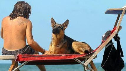 
 Sulla spiaggia con il cane: a Sal&#242; e Toscolano Maderno non  pi&#249; soltanto divieti