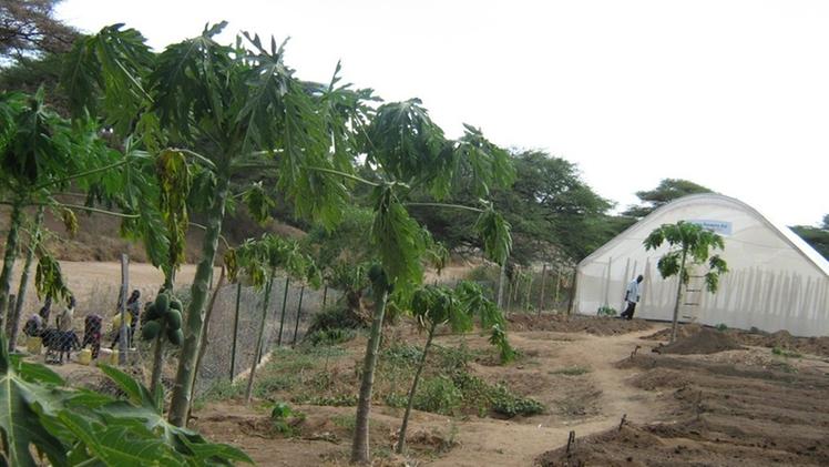 Serra e coltivazioni  «missionarie» regalano speranza al  Kenya