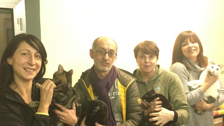 Alcuni dei volontari del gattile di Lumezzane: serve una nuova sede