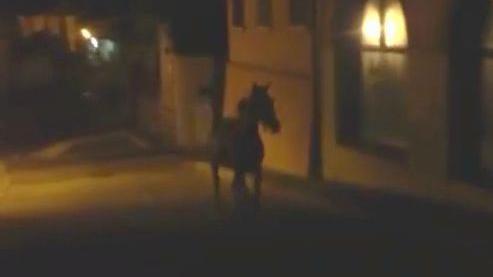 Il cavallo a spasso per le vie di Bedizzole domenica notte