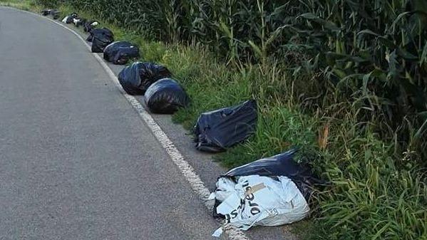 I sacchi in fila indiana abbandonati sul ciglio della strada