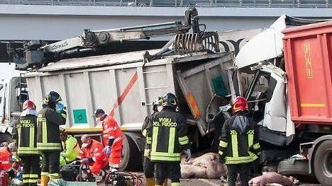 L’ammasso di mezzi pesanti entrati in rotta di collisione lungo l’autostrada A21 Brescia-PiacenzaUno dei Tir  ha perso sull’asfalto il carico di carcasse di suini e polli