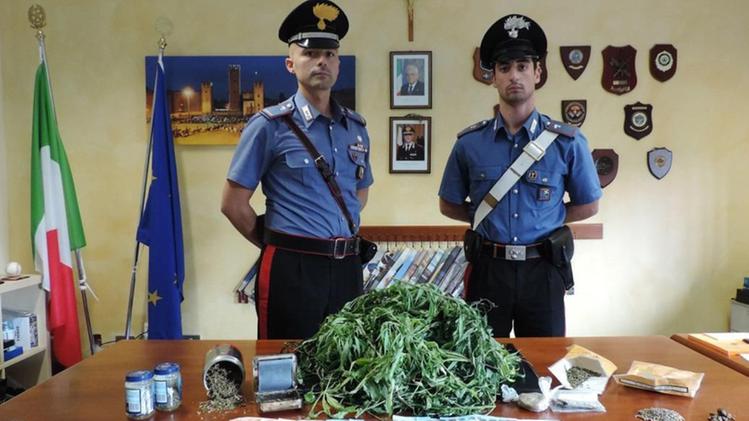 La marijuana sequestrata dai carabinieri di Gussago
