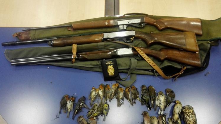 Uccelli protetti e fucili sequestrati dalla polizia provinciale