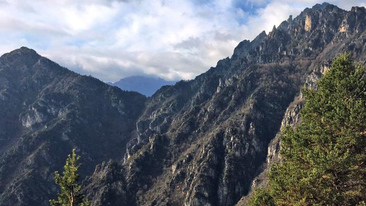 Il desolante spettacolo dei versanti boscosi devastati dal rogo: più di trecento gli ettari di verde in fumoUn’altra zona andata in fumoInteressato anche il Trentino
