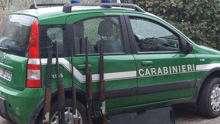 Il materiale sequestrato dai carabinieri forestale nella Bassa