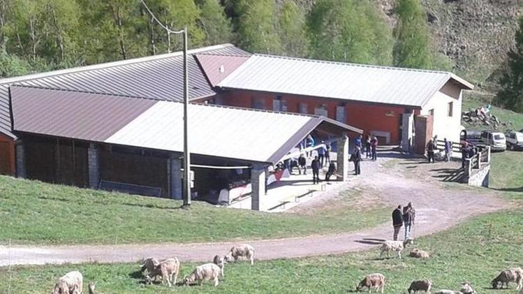 Il centro cevese per la tutela della capra Bionda dell’Adamello