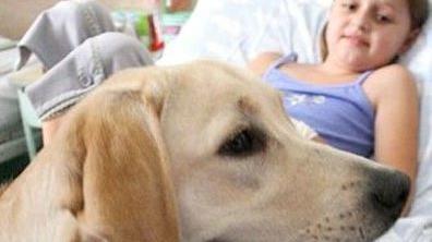 L’Asst di Chiari autorizza la visita degli animali ai pazienti ospedalieri 