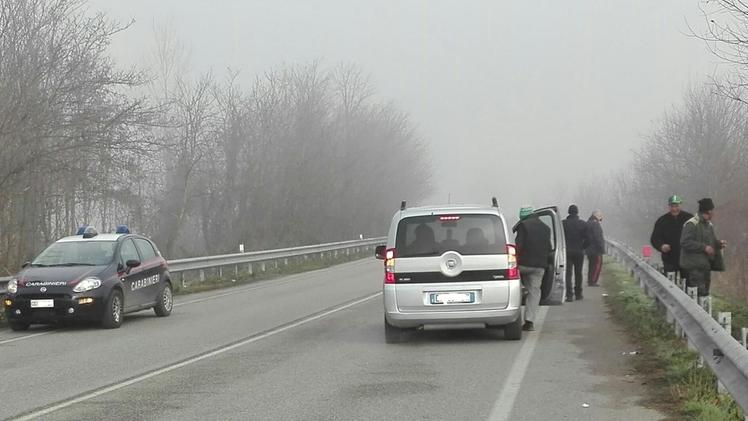 Sulla mini-tangenziale di  Pavone sono intervenuti anche i carabinieriLe due manze fuggite da un allevamento di Castelletto hanno «pascolato» lungo la strada provinciale La coppia di  bovini  tratta  in salvo 