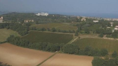 Una veduta dall’alto della grande tenuta tra Desenzano e Lonato in vendita per 12,5 milioni di euro