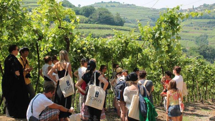Le vigne del Franciacorta «chiamano» le giovani generazioni
