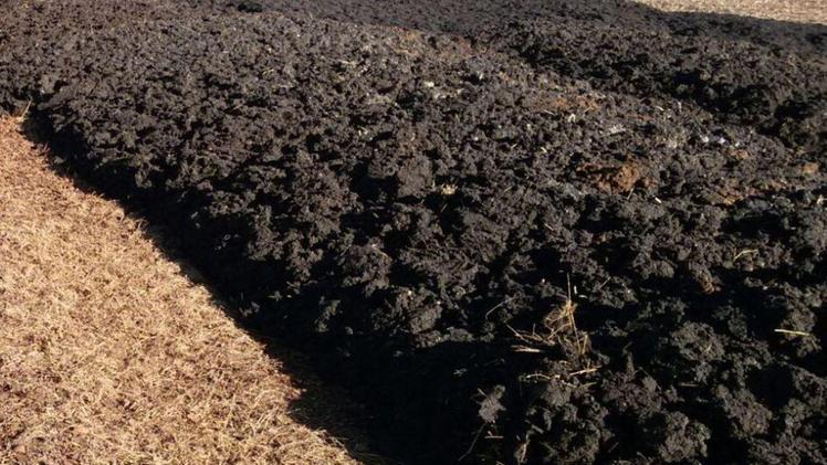 I fanghi trattati vengono utilizzati come fertilizzanti in agricoltura