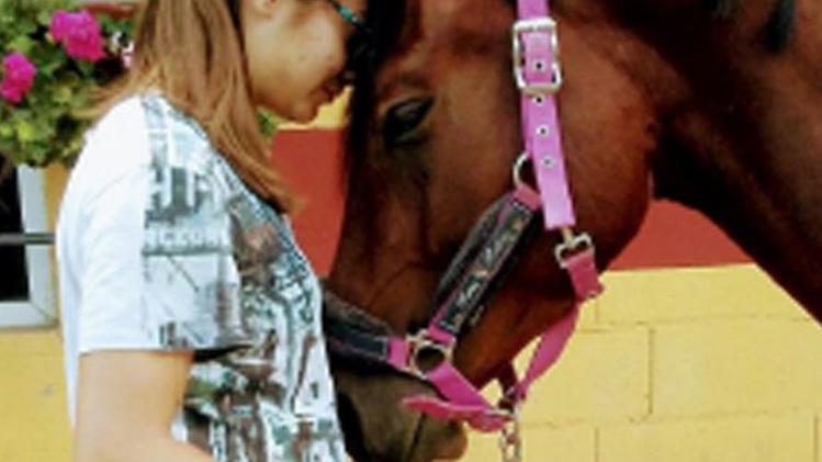 Anche i disabili si rivolgono al maneggio di VisanoUn cavallo del maneggio con una piccola «ammiratrice»