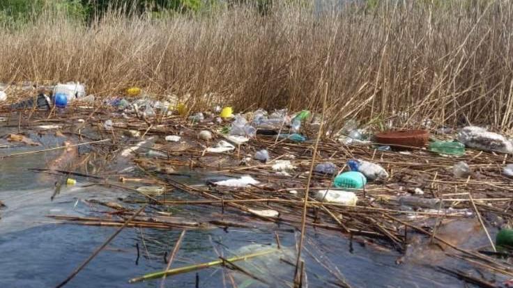 L’isola di rifiuti di plastica che si è formata  nell’area delle Lamette nell’oasi delle Torbiere 