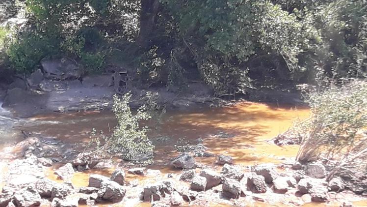 L’acqua giallognola del fiume Chiese a Montichiari