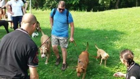 Attività cinofile nel parco di Flero che oggi  sarà invaso dai cani 