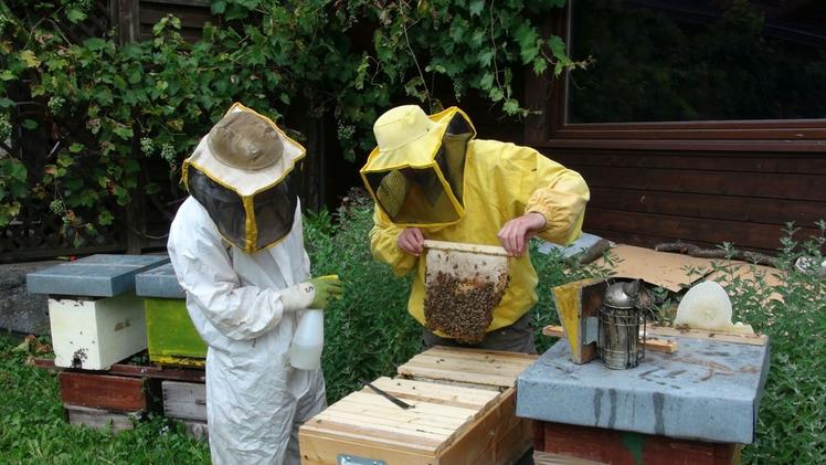 La stagista statunitense (a sinistra) al lavoro con Tosana Le arnie sperimentali dell’apiario didattico di Edolo