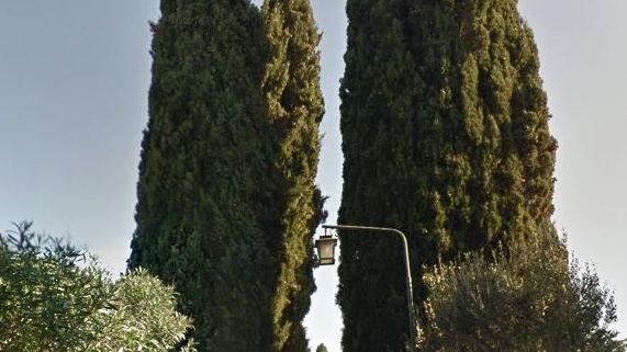 Il parco di Villa Cortine è tra le zone di pregio individuate grazie alle segnalazioni dei cittadiniL’uliveto secolare delle Grotte di Catullo con le sue piante storicheI  cipressi di San Pietro in Mavino