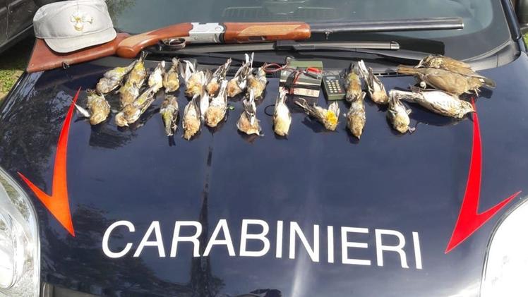 Trappole e avifauna protetta: l’esito del lavoro di repressione del bracconaggio dei carabinieri forestaliNell’elenco dei sequestri ci sono anche le armi
