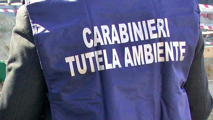 I carabinieri del Noe hanno effettuato i controlli a Calcinatello
