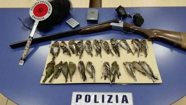Gli esemplari di avifauna protetta e il fucile sequestrati a Vobarno 