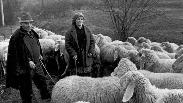 L’antica lingua dei pastori era diffusa tra Bergamo e Brescia