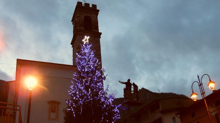 Il grande albero di Natale allestito in piazzetta dal Comune