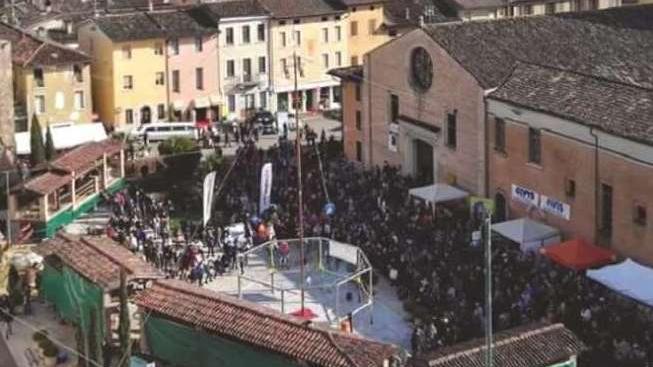 In occasione della Fiera agricola in  piazza a Calvisano sarà nuovamente issato l’albero della cuccagna