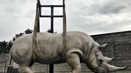 La gigantesca testa di rinoceronte che troverà posto per tutto aprile in piazza Cesare Battisti a SarezzoLa bellissima Marta e l’elefanteLa grande trottola di cortenIl rinoceronte sospeso