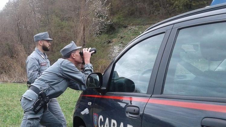 Le indagini sono state sviluppate dai carabinieri forestali di Breno