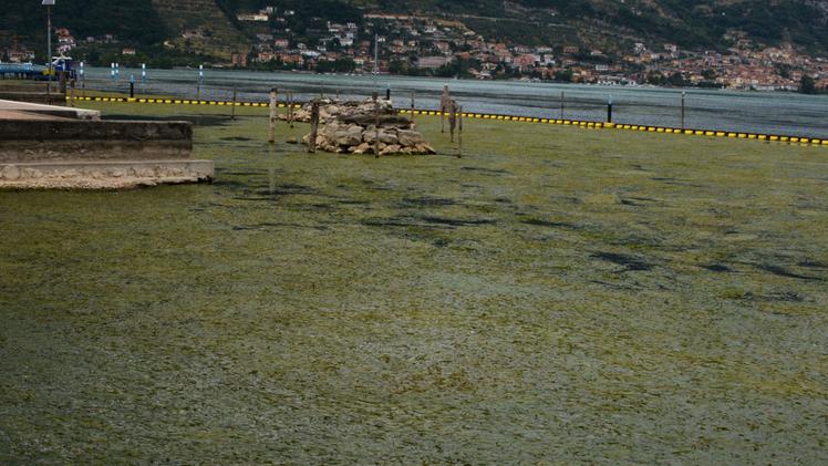 L’effetto alghe sul lago di Iseo: la Regione pronta a misure estreme 