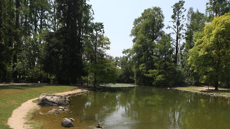 Il parco è attrezzato con i giochi per i più piccoliIl laghetto del parco Ducos non è in buone condizioni. Secondo i residenti, servirebbe più pulizia