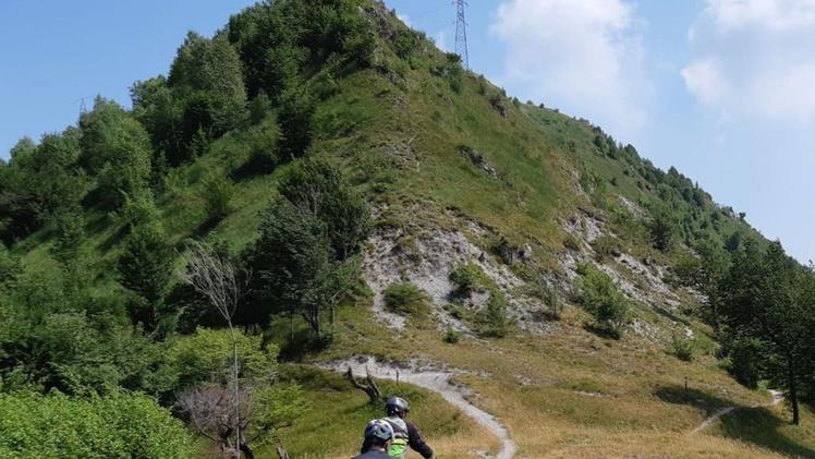 Uno dei tracciati per le mountain bike della Pezzeda