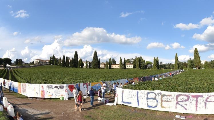 Nelle vigne di Erbusco torna domenica il «Chilometro di tela»