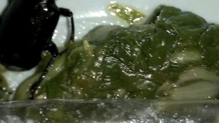 L’insetto è stato trovato in un piatto di verdure servite in mensa