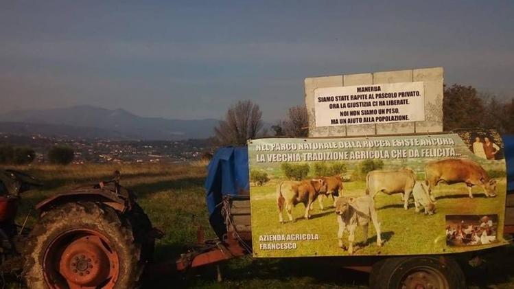 Il cartello polemico che annuncia la «liberazione» delle mucche