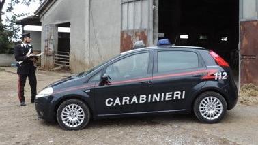 L’azienda agricola di Castenedolo: qui si è consumata la tragedia costata la vita a un mandriano 51enneI carabinieri stanno indagando  sull’infortunio mortale in stalla 