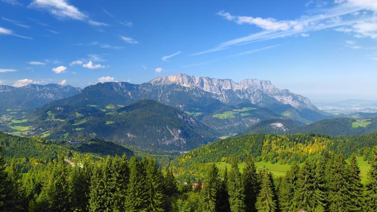 Le foreste e i boschi rappresentano una risorsa preziosa per l’ambiente e l’economia della  provincia di Brescia 