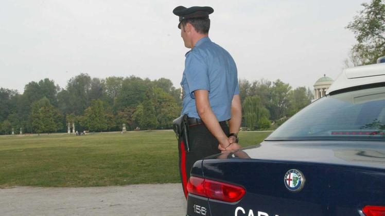 La cocaina scoperta dai carabinieri era nascosta fra i cespugli