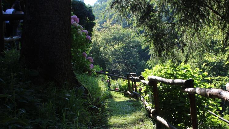 Alla scoperta del nuovo percorso botanico nel parco delle Terme di VallioLe cure diventano un’occasione di studio del mondo vegetaleLo storico stabilimento termale è un paradiso verde