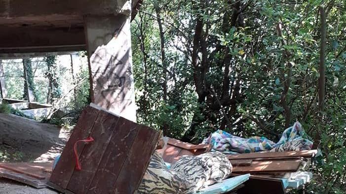 Il rifugio della colonia felina è stato raso al suolo dai vandali Le casette in legno per i gatti distrutte a colpi di martello
